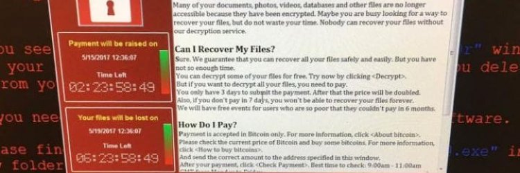 ransomware attacks hundreds of companies