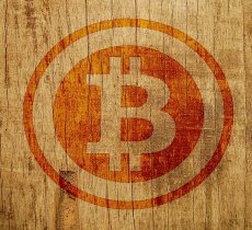 will bitcoin go back up again